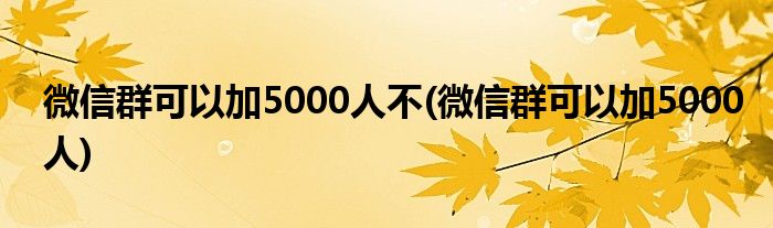 微信群可以加5000人不(微信群可以加5000人)