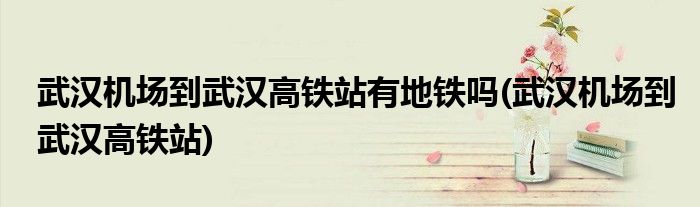 武汉机场到武汉高铁站有地铁吗(武汉机场到武汉高铁站)