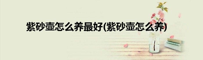 紫砂壶怎么养最好(紫砂壶怎么养)