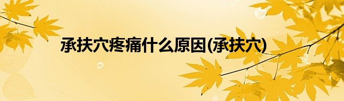 承扶穴疼痛什么原因(承扶穴)