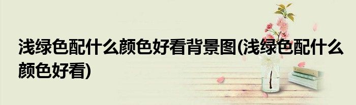 浅绿色配什么颜色好看背景图(浅绿色配什么颜色好看)
