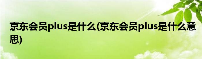 京东会员plus是什么(京东会员plus是什么意思)