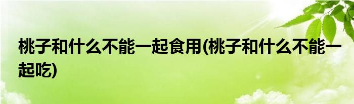 桃子和什么不能一起食用(桃子和什么不能一起吃)
