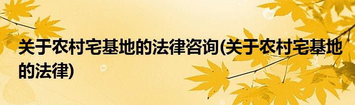 关于农村宅基地的法律咨询(关于农村宅基地的法律)