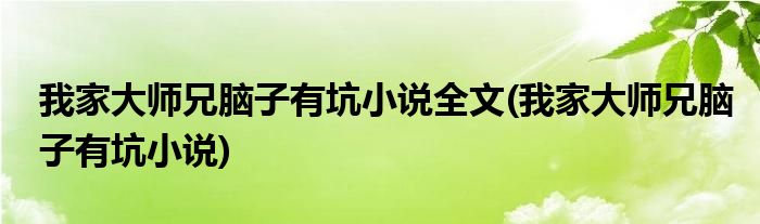 我家大师兄脑子有坑小说全文(我家大师兄脑子有坑小说)