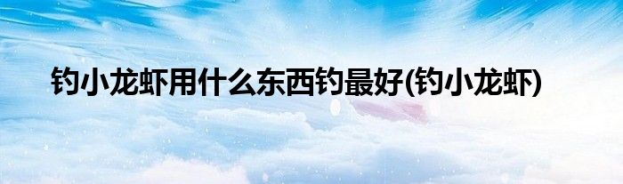 钓小龙虾用什么东西钓最好(钓小龙虾)