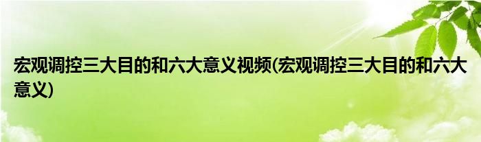 宏观调控三大目的和六大意义视频(宏观调控三大目的和六大意义)