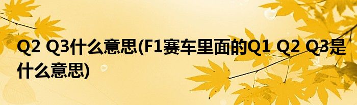 Q2 Q3什么意思(F1赛车里面的Q1 Q2 Q3是什么意思)