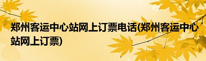 郑州客运中心站网上订票电话(郑州客运中心站网上订票)