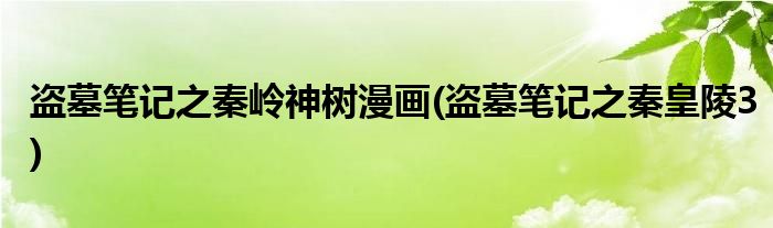 盗墓笔记之秦岭神树漫画(盗墓笔记之秦皇陵3)