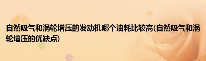 自然吸气和涡轮增压的发动机哪个油耗比较高(自然吸气和涡轮增压的优缺点)