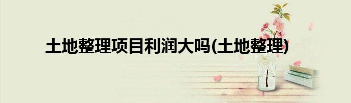土地整理项目利润大吗(土地整理)