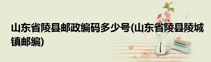 山东省陵县邮政编码多少号(山东省陵县陵城镇邮编)