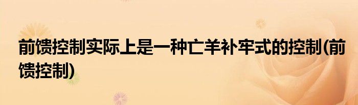 前馈控制实际上是一种亡羊补牢式的控制(前馈控制)