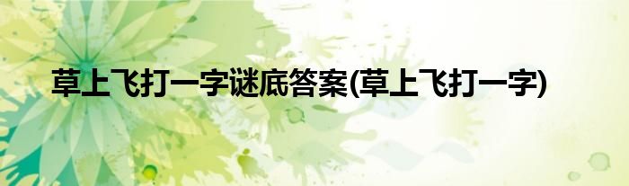 草上飞打一字谜底答案(草上飞打一字)