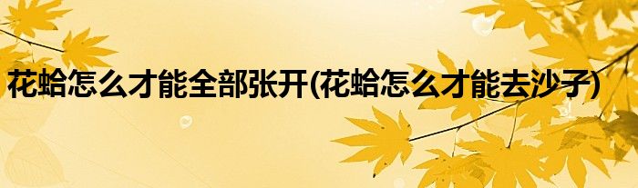 花蛤怎么才能全部张开(花蛤怎么才能去沙子)