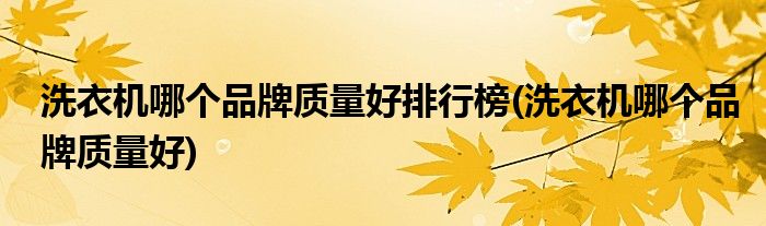 洗衣机哪个品牌质量好排行榜(洗衣机哪个品牌质量好)