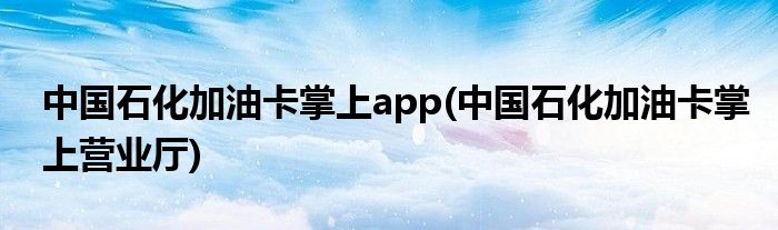 中国石化加油卡掌上app(中国石化加油卡掌上营业厅)
