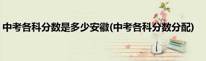 中考各科分数是多少安徽(中考各科分数分配)