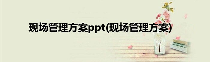 现场管理方案ppt(现场管理方案)