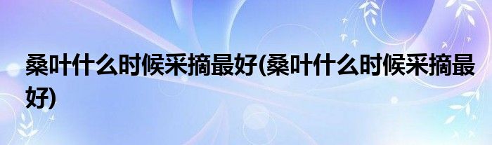 桑叶什么时候采摘最好(桑叶什么时候采摘最好)