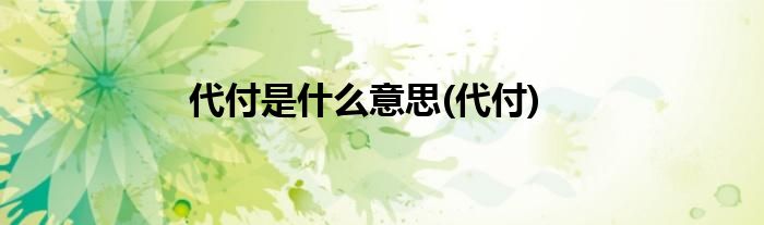 代付是什么意思(代付)