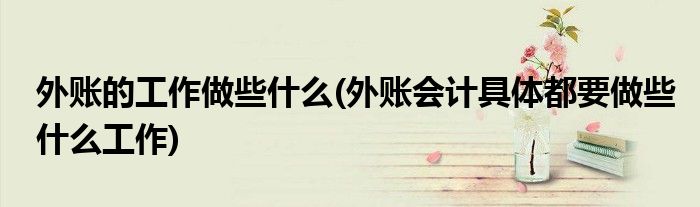 外账的工作做些什么(外账会计具体都要做些什么工作)