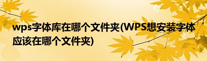 wps字体库在哪个文件夹(WPS想安装字体 应该在哪个文件夹)
