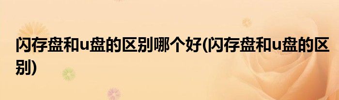 闪存盘和u盘的区别哪个好(闪存盘和u盘的区别)
