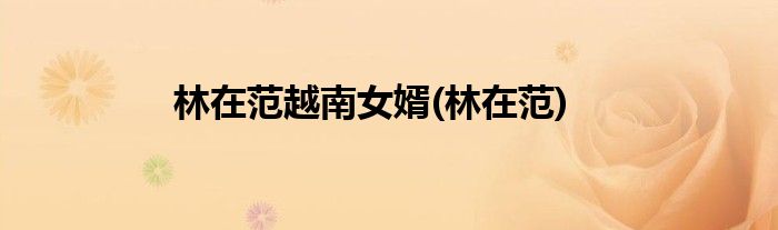 林在范越南女婿(林在范)