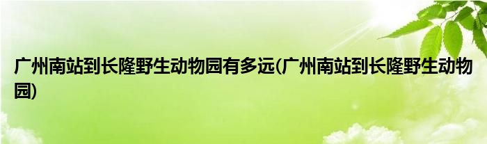 广州南站到长隆野生动物园有多远(广州南站到长隆野生动物园)