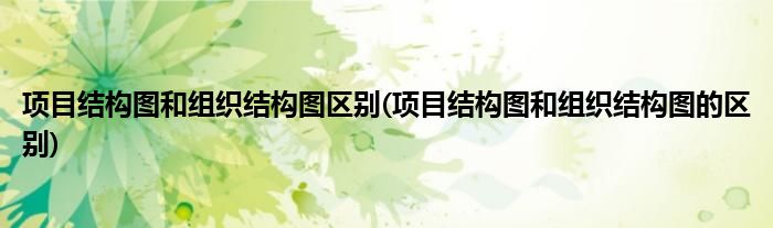 项目结构图和组织结构图区别(项目结构图和组织结构图的区别)