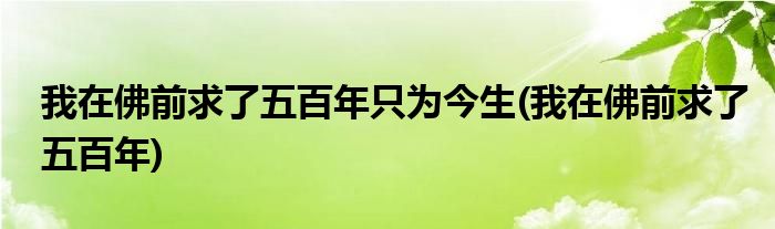 我在佛前求了五百年只为今生(我在佛前求了五百年)