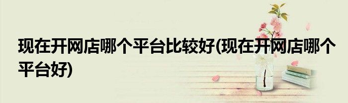 现在开网店哪个平台比较好(现在开网店哪个平台好)