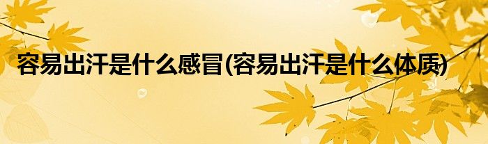 容易出汗是什么感冒(容易出汗是什么体质)