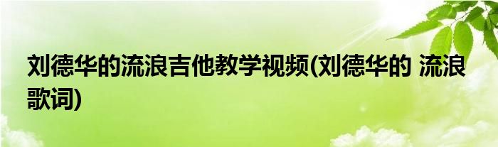 刘德华的流浪吉他教学视频(刘德华的 流浪  歌词)