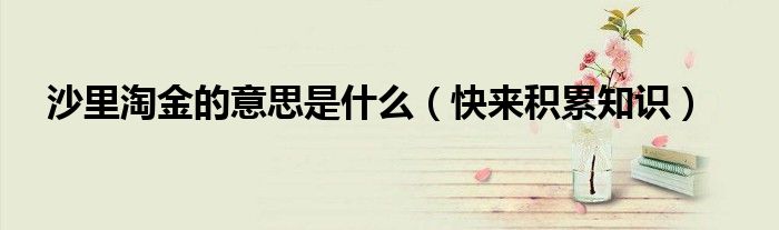 沙里淘金的意思是什么（快来积累知识）