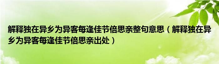 解释独在异乡为异客每逢佳节倍思亲整句意思（解释独在异乡为异客每逢佳节倍思亲出处）
