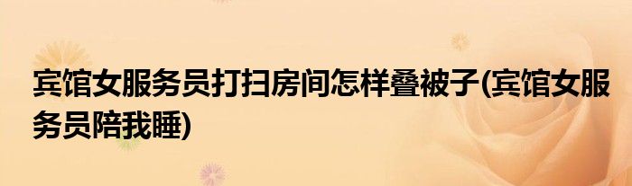 宾馆女服务员打扫房间怎样叠被子(宾馆女服务员陪我睡)