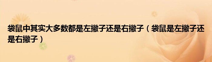 袋鼠中其实大多数都是左撇子还是右撇子（袋鼠是左撇子还是右撇子）