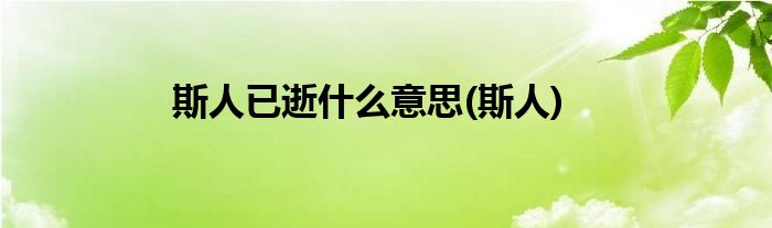 斯人已逝什么意思(斯人)