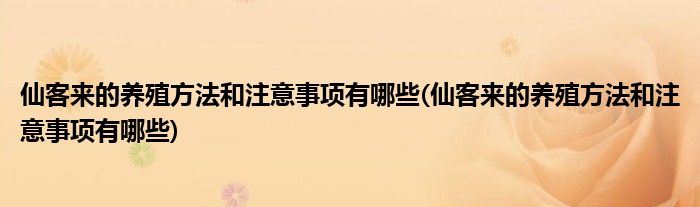 仙客来的养殖方法和注意事项有哪些(仙客来的养殖方法和注意事项有哪些)