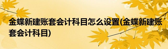 金蝶新建账套会计科目怎么设置(金蝶新建账套会计科目)