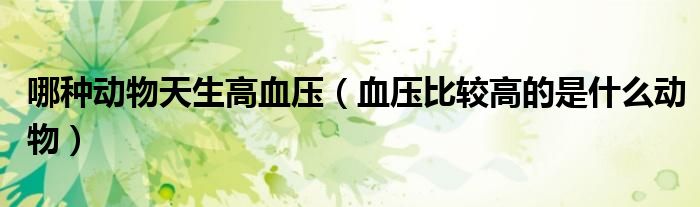哪种动物天生高血压（血压比较高的是什么动物）