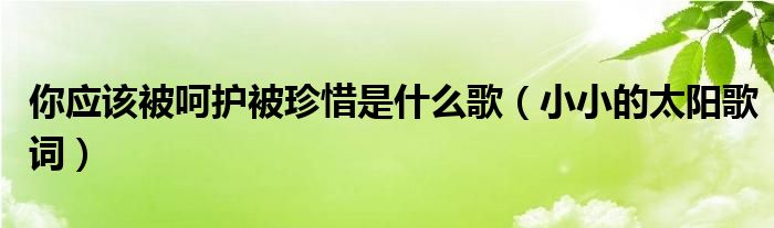 你应该被呵护被珍惜是什么歌（小小的太阳歌词）
