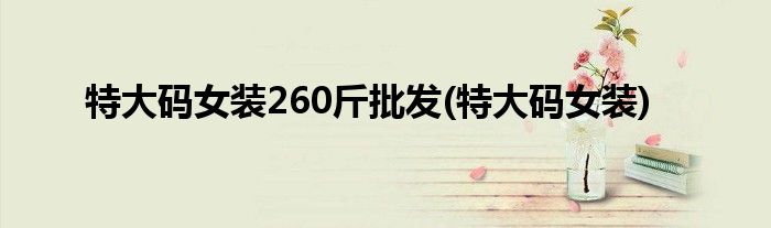 特大码女装260斤批发(特大码女装)