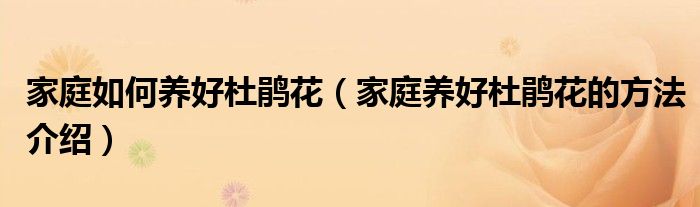 家庭如何养好杜鹃花（家庭养好杜鹃花的方法介绍）