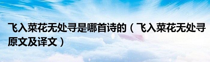 飞入菜花无处寻是哪首诗的（飞入菜花无处寻原文及译文）