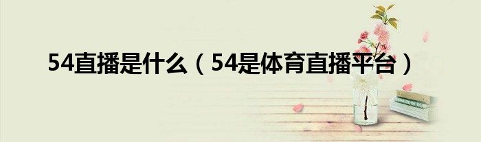 54直播是什么（54是体育直播平台）