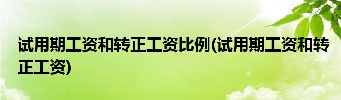 试用期工资和转正工资比例(试用期工资和转正工资)